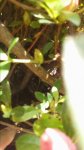 20150503_123845.jpg