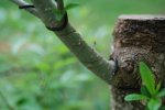 DSC_0056.JPG