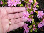100_3788.JPG