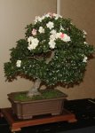 1IMG_1729POST.jpg