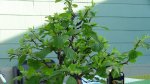 DSC00503.JPG