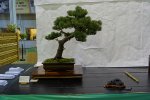 DSC02460.jpg