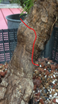 2015-08-19 23.53.04.png