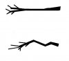 branch structure.jpg