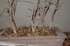 DSC_00110002.JPG
