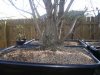 DSC02132.jpg