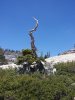 100_9619.jpg