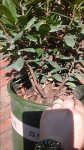 20150828_123818.jpg