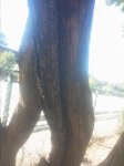20150926_120302.jpg