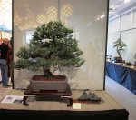 IMG_6409.JPG