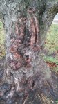 20151031_085453.jpg
