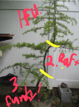 2015-11-14 07.46.27.png