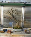 IMG_1827.JPG