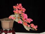 DSC05944.jpg
