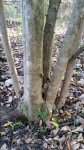 20151221_163416.jpg