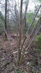 20151222_154407.jpg