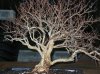 DSCN2512.jpg