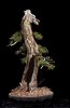grouper fir2.jpg