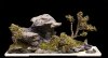 HokkaidoCEPenjing4-10.jpg