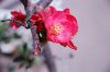 DSC_1218.jpg