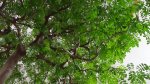 DSC00291.JPG