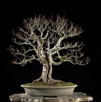 IMG_20140323_222606.jpg IMG_20140323_222606.jpg