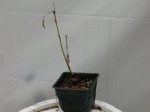 DSCN2393.JPG