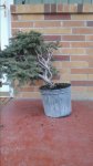 20160203_141842.jpg