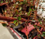 20160204_212435.jpg