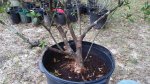 20160206_163641.jpg