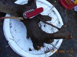 DSCN2551.JPG