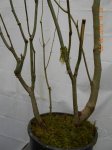 DSCN2547.JPG