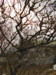 DSCN0908.JPG