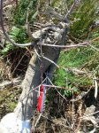 DSCN2579.JPG