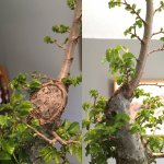 image.jpeg image.jpeg