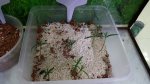 20160306_230144.jpg