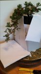 20160306_110621.jpg