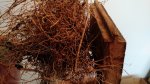 IMG_20160306_145418769.jpg