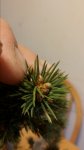 20160319_075500.jpg