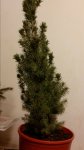 20151226_173555.jpg