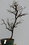 201603187444EOS 40D.JPG