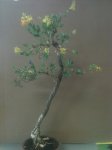 Copy of 5-15-13 007.jpg