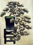 Chrysanthemum-cascade-bonsai.jpg