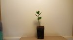 20160324_211545.jpg