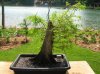 DSCN2713.jpg