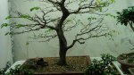 DSC00784.JPG