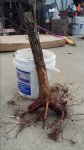 20160419_185314.jpg