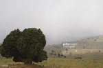 general-view-shows-a-campsite-amid-juniper-trees-in-the-mountains-of-picture-id133863758.jpeg