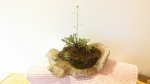 20160421_064548.jpg