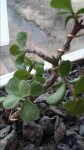 20160426_114854.jpg